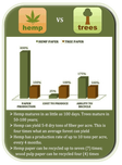Hemp VS Trees