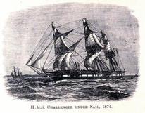 The vast majority of ALL ships worldwide, used Hemp for Hulls, Sails and Ropes less than 100 years ago.